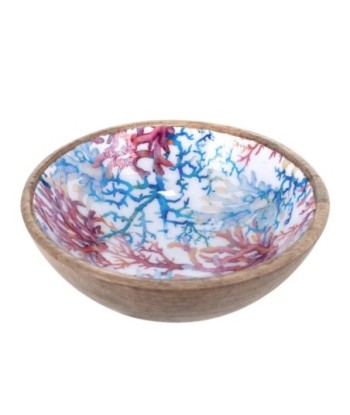 ORIGEN Home Decor - Bowl coral  Cocina | Cajas Y Bandejas Azul - 7x20x20 cm