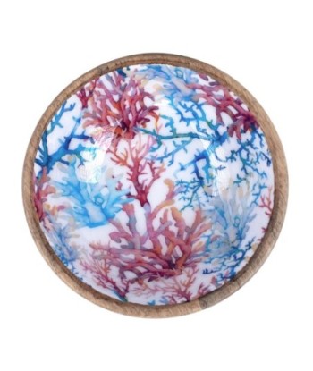 ORIGEN Home Decor - Bowl coral  Cocina | Cajas Y Bandejas Azul - 7x20x20 cm