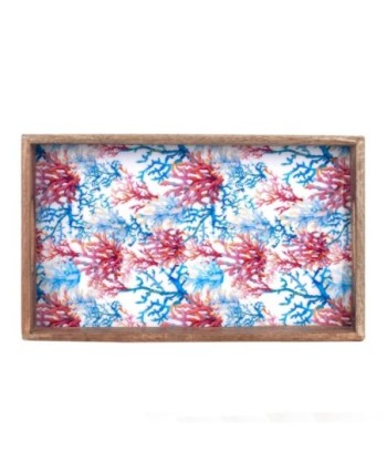 ORIGEN Home Decor - Bandeja coral  Cocina | Cajas Y Bandejas Azul - 5x23x38 cm