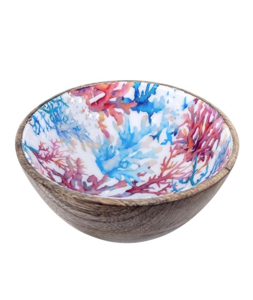 ORIGEN Home Decor - Bowl coral  Cocina | Cajas Y Bandejas Azul - 7x15x15 cm
