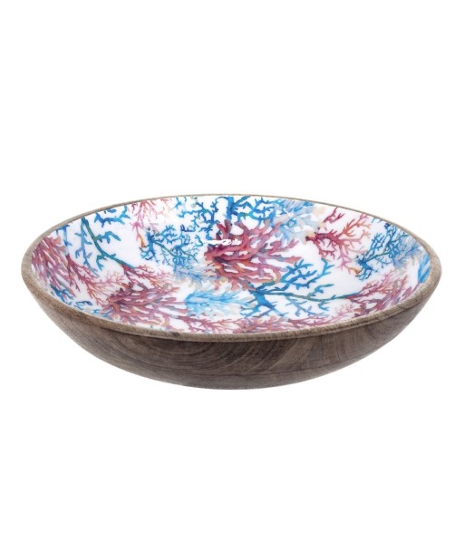 ORIGEN Home Decor - Bowl coral  Cocina | Cajas Y Bandejas Azul - 7x30x30 cm
