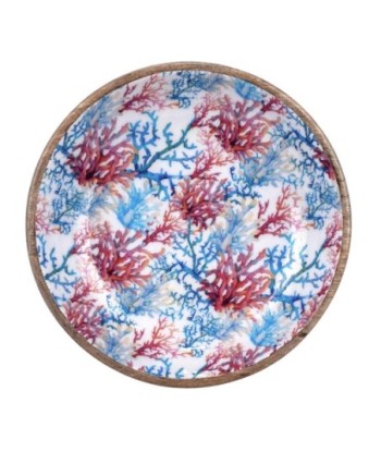 ORIGEN Home Decor - Bowl coral  Cocina | Cajas Y Bandejas Azul - 7x30x30 cm