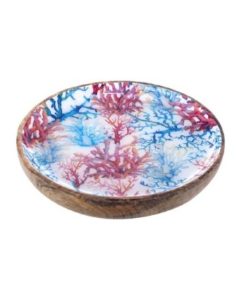 ORIGEN Home Decor - Plato coral  Cocina | Cajas Y Bandejas Azul - 2x15x15 cm