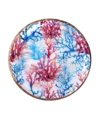 ORIGEN Home Decor - Plato coral  Cocina | Cajas Y Bandejas Azul - 2x15x15 cm
