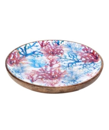 ORIGEN Home Decor - Plato coral  Cocina | Cajas Y Bandejas Azul - 2x22x22 cm