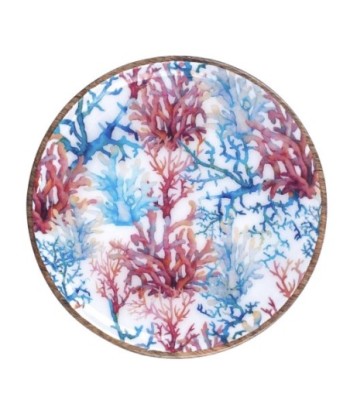 ORIGEN Home Decor - Plato coral  Cocina | Cajas Y Bandejas Azul - 2x22x22 cm