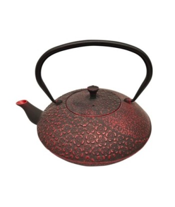 By SIGRIS Tetera Rojo de Hierro Colado 8*18*21cm