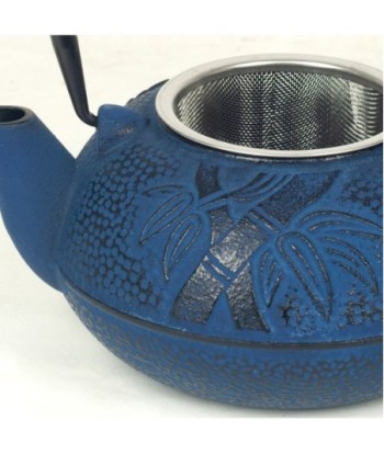 By Sigris - Tetera con Filtro | Tetera Hierro Colado, Volumen: 0,6 litros - Color Azul   Decor And Go