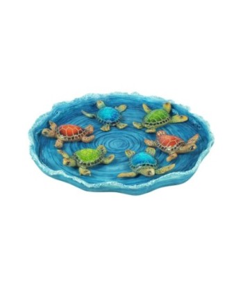 By SIGRIS Set de 12 Tortugas Con Plato 3 Diferentes  Regalo Complementos Colección Tropical Signes Grimalt Decor