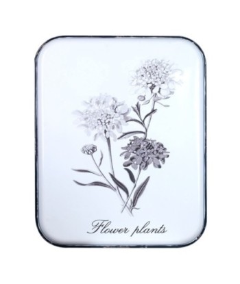 ORIGEN Home Decor Adorno Pared Flores Placas Metal | Placa de Metal Blanco Rectangular - 53x43x2cm
