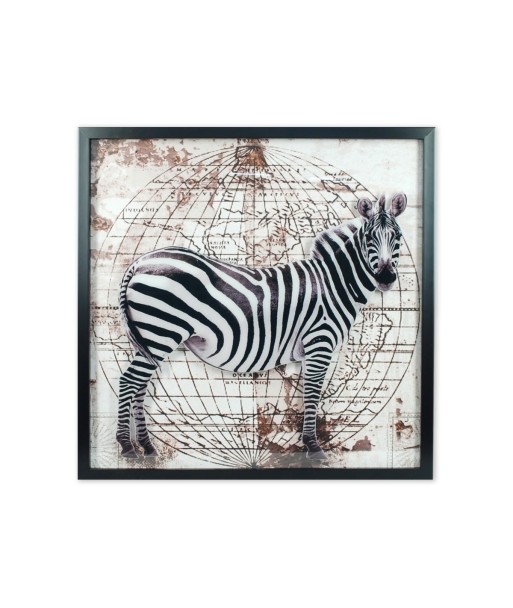 Decor and Go Cuadro Cebra Cuadros De Decoración Y Adorno Pared Material Pintura DG11874