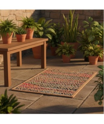 Alfombra Entrada Multicolor Antideslizante, Decorativa y Duradera, Ideal para Sala, Dormitorio, Pasillo, Hogar