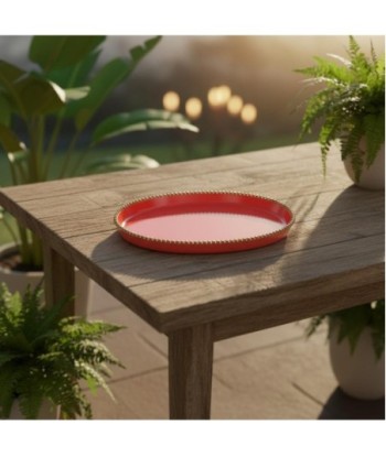 Bandeja Decorativa Moderna para Hogar, Oficina, Aluminio Resistente, Versátil para Servir y Organizar, Diseño