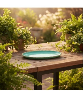 Bandeja Decorativa Moderna para Servir Aperitivos, Multiusos, Ideal para Comedor y Sala, Diseño Elegante y Funcional