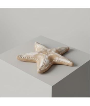 Bandeja Decorativa Estrella para Decoración Náutica, Accesorio de Hogar, Diseño Elegante para Mesas y Estanterías