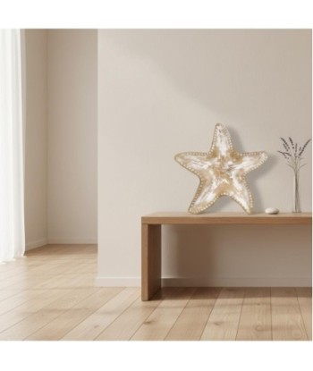 Bandeja Decorativa Estrella para Decoración Náutica, Accesorio de Hogar, Diseño Elegante para Mesas y Estanterías