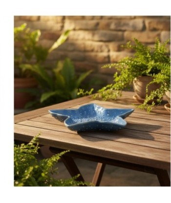Bandeja Decorativa Estrella Azul para Hogar - Cerámica Estilo Marinero - Ideal para Decoración de Interiores