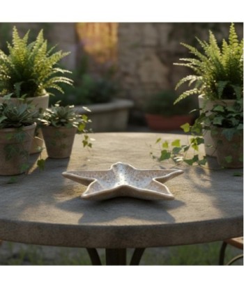 Bandeja Decorativa Estrella Pequeña para Hogar, Diseño Exclusivo, Ideal para Regalos y Decoración de Interiores