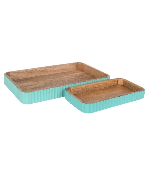 Juego de 2 bandejas decorativas para hogar, diseño elegante, ideales para servir o decorar, regalo perfecto