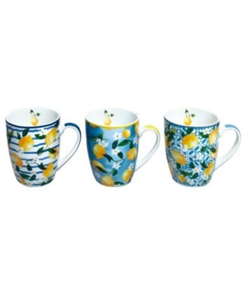 Mug Limones con Caja Regalo - Taza de Porcelana Ideal para Regalos y Decoración de Cocina