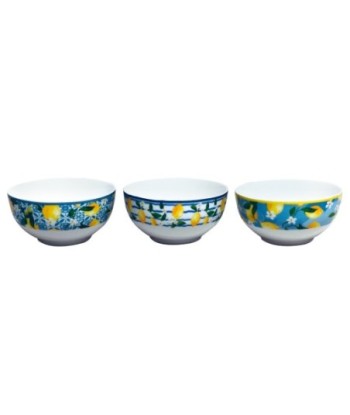 Cuenco de Porcelana para Limones con Caja Regalo Ideal para Cocinas Modernas y Decoración de Mesa