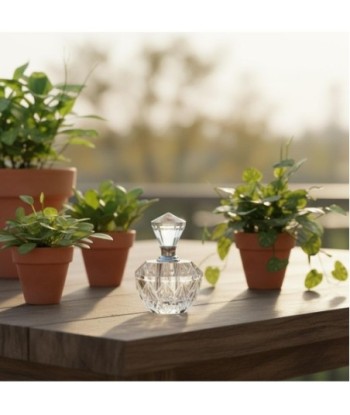 Botella de Perfume Decorativa de Vidrio para Hogar, Diseño Clásico, Ideal para Regalo, Decoración Elegante y Botella de Perfume Decorativa de Vidrio para Hogar, Diseño Clásico, Ideal para Regalo, Decoración Elegante y