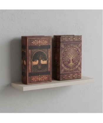 Caja Libro Decorativa Vintage, Set de 2 Unidades, Diseño Mapa del Mundo, Almacenamiento Oculto, Ideal para Regalos