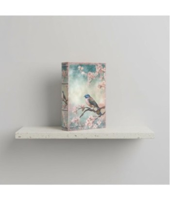 Caja Decorativa Libro Pájaro Diseño Vintage para Almacenamiento, Decoración Hogar, Regalo Original y Elegante