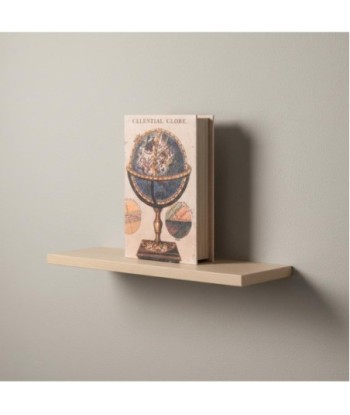 Caja Libro Decorativa Globo Mundo Vintage - Organizador de Almacenamiento con Diseño de Mapa Antiguo - Ideal