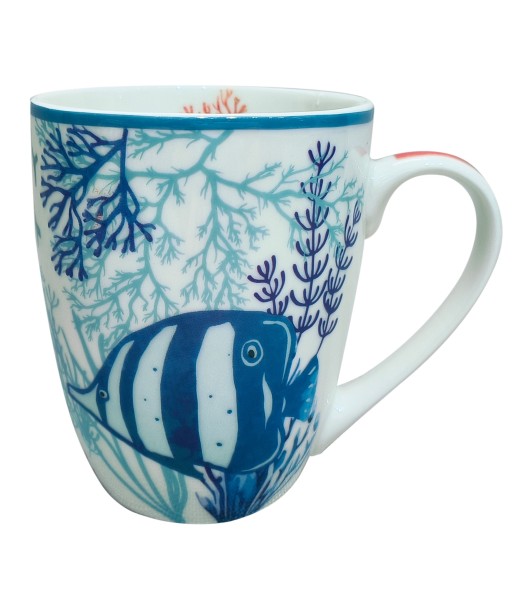 Mug Pez con Caja Regalo, Taza Original Ideal para Regalos Creativos y Sorprendentes en Cumpleaños o Celebraciones