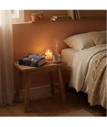 Caja Libro Decorativa Gatos Diseño Único, Almacenamiento Oculto, Ideal para Regalo, Decoración Hogar, Estilo
