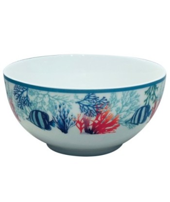 Cuenco de Porcelana en Forma de Pez con Caja Regalo Ideal para Decoración y Regalos Originales