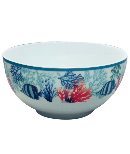 Cuenco de Porcelana en Forma de Pez con Caja Regalo Ideal para Decoración y Regalos Originales