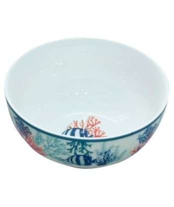Cuenco de Porcelana en Forma de Pez con Caja Regalo Ideal para Decoración y Regalos Originales