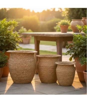 Juego de 3 cestas decorativas para almacenamiento, cestas organizadoras plegables, ideales para sala, dormitorio