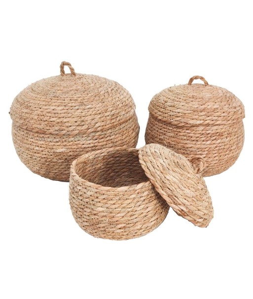 Juego de 3 cestas de almacenamiento decorativas para hogar, organizador de palma y hierba marina, diseño natural Juego de 3 cestas de almacenamiento decorativas para hogar, organizador de palma y hierba marina, diseño natural
