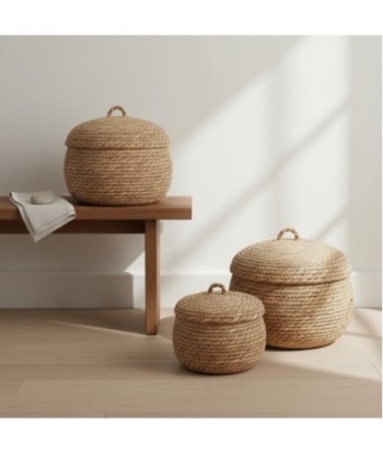 Juego de 3 cestas de almacenamiento decorativas para hogar, organizador de palma y hierba marina, diseño natural Juego de 3 cestas de almacenamiento decorativas para hogar, organizador de palma y hierba marina, diseño natural