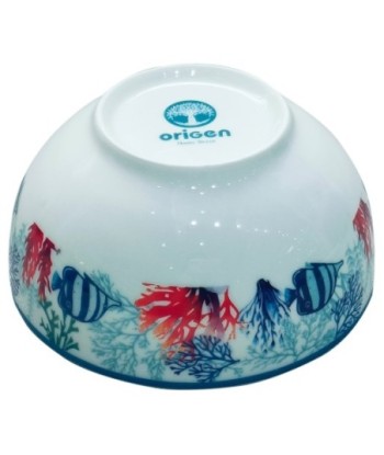 Cuenco de Porcelana en Forma de Pez con Caja Regalo Ideal para Decoración y Regalos Originales