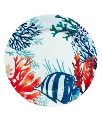 Plato Llano de Porcelana con Diseño de Pez en Caja Regalo Ideal para Decoración y Uso Diario en Cocina