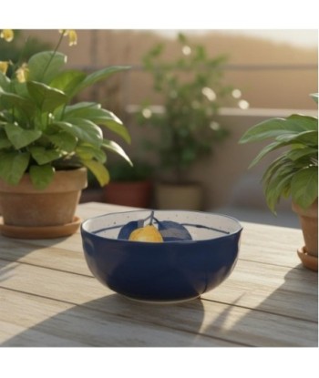 Cuenco Decorativo de Porcelana Diseño Limonissimo - Ideal para Cocina, Comedor, Decoración Moderna y Regalo Original Cuenco Decorativo de Porcelana Diseño Limonissimo - Ideal para Cocina, Comedor, Decoración Moderna y Regalo Original