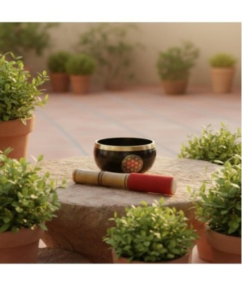 Cuenco Tibetano para Meditación, Relajación y Yoga - Sonido Armónico para Equilibrio Espiritual y Bienestar