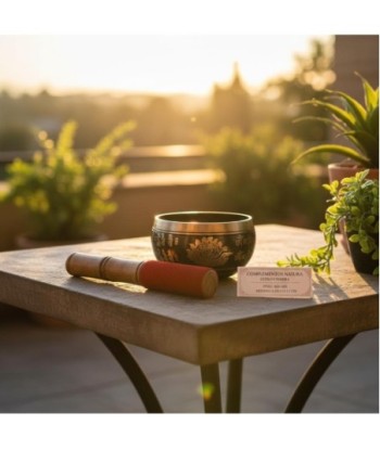 Cuenco Tibetano para Meditación, Relajación y Yoga - Sonido Armónico para Equilibrio Espiritual y Bienestar