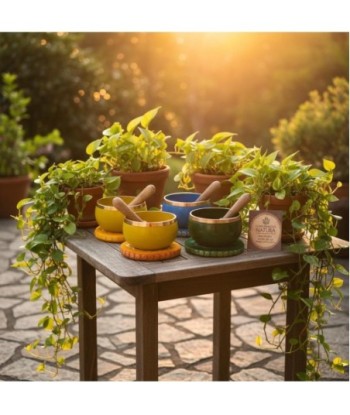 Cuenco Tibetano con Caja de Regalo, Ideal para Meditación, Yoga, Relajación y Mindfulness, Sonido Armónico y