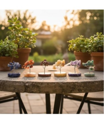 Set de Piedras Chakras 7 Piezas - Energía Positiva, Meditación y Armonización, Cristales Naturales para Reiki