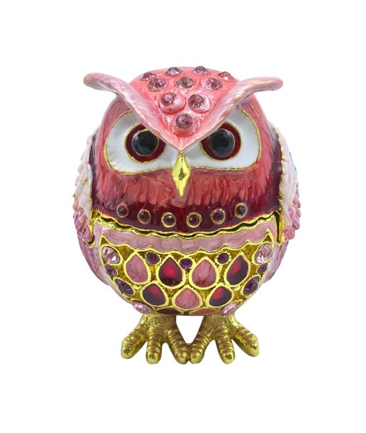 Caja Buho Rosa de Metal, Ideal para Almacenamiento de Joyas y Accesorios, Regalo Perfecto para Niños y Adultos