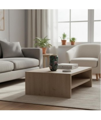 Jarrón Decorativo para Flores, Diseño Moderno, Ideal para Decoración de Interiores, Regalo Perfecto para el Hogar