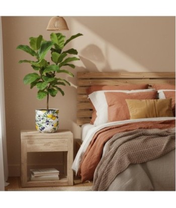 Macetero Decorativo para Interior y Exterior con Diseño de Limones y Aceitunas - Ideal para Plantas y Flores Macetero Decorativo para Interior y Exterior con Diseño de Limones y Aceitunas - Ideal para Plantas y Flores