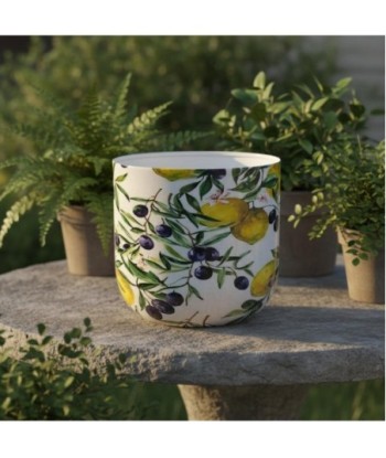 Macetero Decorativo para Interior y Exterior con Diseño de Limones y Aceitunas - Ideal para Plantas y Flores Macetero Decorativo para Interior y Exterior con Diseño de Limones y Aceitunas - Ideal para Plantas y Flores