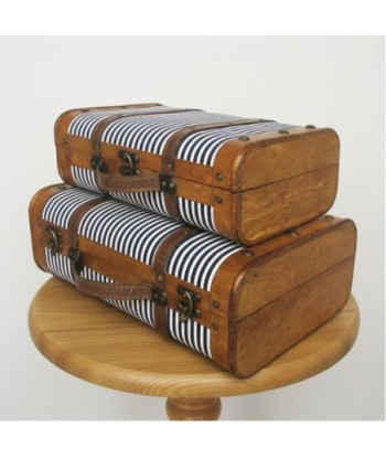 Juego de 2 Maletas de Viaje Estilo Vintage, Diseño Resistente, Ideal para Decoración y Almacenamiento, Regalo