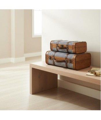 Juego de 2 Maletas de Viaje Estilo Vintage, Diseño Resistente, Ideal para Decoración y Almacenamiento, Regalo